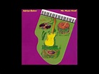 Adrian Belew - Mr. Music Head (1989) [Full Album] - YouTube