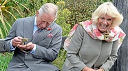 Prinz Charles feiert 70. Geburtstag: Worin er schon längst König ist ...
