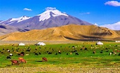 True Mongolia travel WHEN TO VISIT MONGOLIA - The best time to visit ...