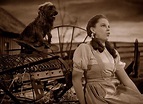 The Wizard Of Oz (1939) – Movie Reviews Simbasible