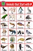 140+ Animals that Start with P | Animals beginning with P ...