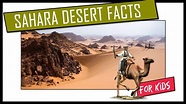 Facts About the Sahara Desert for Kids, Camels, Nomads with DAD and ...