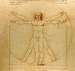 L'homme de Vitruve par Léonard de Vinci
