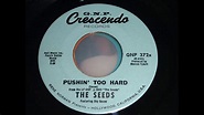 The Seeds - Pushin' Too Hard 45rpm - YouTube