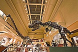 Smithsonian Insider – $35-million donation will build new dinosaur hall ...