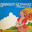 Brinsley Schwarz – Despite It All (2016, CD) - Discogs