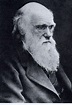 Charles Darwin: Vor 150 Jahren erschien sein Werk "Über die Entstehung ...