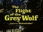 The Flight of the Grey Wolf | Disney Wiki | FANDOM powered by Wikia