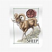 "Chinese Zodiac - Year of the Sheep" Poster by stephsmith | Redbubble