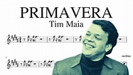 PRIMAVERA (Tim Maia) - NAIPE DE METAIS - YouTube