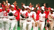 1995 Cincinnati Reds made National League Championship Series