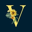 Letter V with blossoms - Download Free Vectors, Clipart Graphics ...