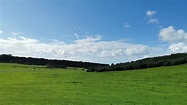 The Curragh Plains