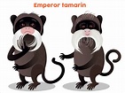 Emperor Monkey Illustrations, Royalty-Free Vector Graphics & Clip Art ...