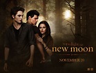 "The Twilight Saga: New Moon" Summit Entertainment | Twilight saga new ...