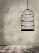 Empty Bird Cage Stock Photos, Pictures & Royalty-Free Images - iStock