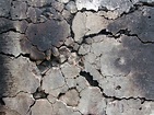 Free photo: Cracked wall - Crease, Crumpled, Damaged - Free Download ...