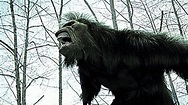 Black Hill Monster - Die Legende lebt! DVD | Weltbild.de