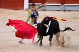 Bullfight at Plaza de Toros Las Ventas, Madrid - Times of India Travel