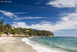 Guide Six Fours Les Plages - le guide touristique pour visiter Six ...