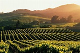Wine Country Wallpapers - Top Free Wine Country Backgrounds ...