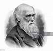 Ilustración de Ilustración Del Retrato De Charles Darwin y más Vectores ...