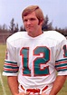 1967 - 1970 Bob Griese - Miami Dolphins Football Icon, Football ...