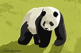 Diseño De Ilustración De Oso Panda - Descargar Vector