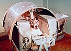 El día que la perra Laika conquistó el espacio – Prensa Libre