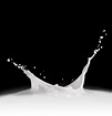 Splash de leche | Foto Premium
