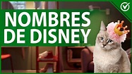 🐈 Nombres de Disney Para Gatos ¡Lista Completa de los Mejores Nombres ...