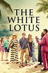 The White Lotus (TV Series 2021- ) - Posters — The Movie Database (TMDB)