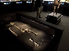 Lucy Fossil: How One of the Oldest Human Ancestors Died | Time