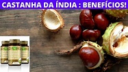 Castanha da Índia descubra para que serve - YouTube