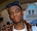 Soulja Boy Biography - Facts, Childhood, Family Life & Achievements of ...