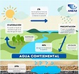 Agua continental – Agua.org.mx