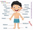 Partes del cuerpo en Castellano (4) - Imagenes Educativas