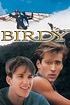 Birdy (1984) – Filmer – Film . nu