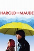Harold and Maude (1971) - Posters — The Movie Database (TMDB)