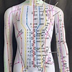 超清晰經絡通男女人體模型人體經絡圖中醫銅人針灸穴位模型小人-Taobao