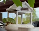 3D Printed Frog House goes Viral ⋆ stlDenise3D
