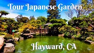 The best Japanese Garden in Hayward, California - YouTube