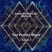 Release “The Perfect Blues (Remixes)” by Jesse Boykins III - Cover Art ...