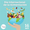 Top 109+ Imagenes dia mundial de la alimentación - Elblogdejoseluis.com.mx