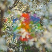 Teenage Birdsong by Four Tet (Single, Downtempo): Reviews, Ratings ...