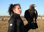 Falcon Images: Golden Eagle Falconry 60 Minutes