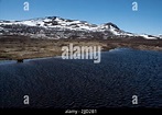 Etwa 1000 Meter über dem Meeresspiegel Dovrefjell ist ein Gebirge und ...