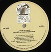 Aaron Neville Orchid In The Storm US Vinyl LP — RareVinyl.com