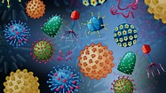 La adaptación de los virus a los tejidos que infectan - El·lipse