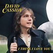 David Cassidy – I Think I Love You (7″ Colored Vinyl) – Cleopatra ...